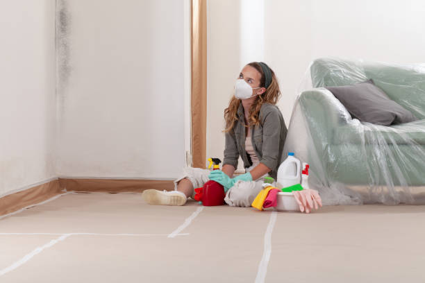 Reliable Mold Remediation contractor in New Market, MD by Mold Remediation HQ